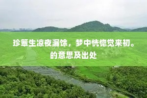 珍簟生凉夜漏馀，梦中恍惚觉来初。的意思及出处