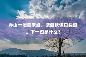 乔山一闭曲未终，鼎湖秋惊白头浪。下一句是什么？