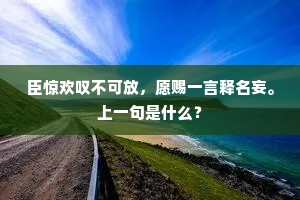 臣惊欢叹不可放，愿赐一言释名妄。上一句是什么？