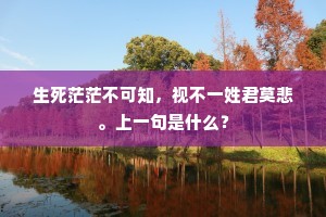 生死茫茫不可知，视不一姓君莫悲。上一句是什么？