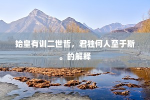始皇有训二世哲，君独何人至于斯。的解释