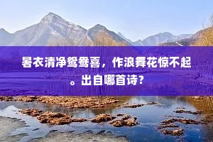 暑衣清净鸳鸯喜，作浪舞花惊不起。出自哪首诗？