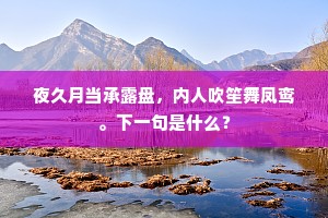 夜久月当承露盘，内人吹笙舞凤鸾。下一句是什么？