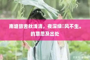 南塘旅舍秋浅清，夜深绿蘋风不生。的意思及出处