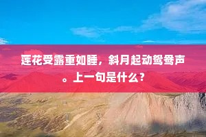 莲花受露重如睡，斜月起动鸳鸯声。上一句是什么？