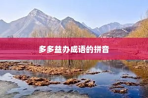 多多益办成语的拼音
