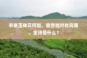 衣亲玉体又何如，杳然独对秋风曙。全诗是什么？