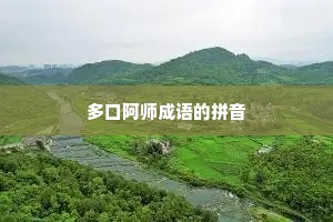 多口阿师成语的拼音