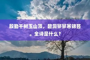 殷勤千树玉山顶，碧洞寥寥寒锦苔。全诗是什么？