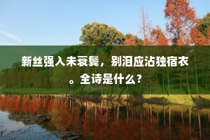 新丝强入未衰鬓，别泪应沾独宿衣。全诗是什么？