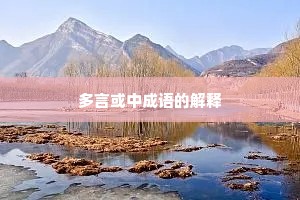 多言或中成语的解释