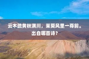 云木疏黄秋满川，茱萸风里一尊前。出自哪首诗？