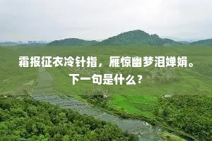霜报征衣冷针指，雁惊幽梦泪婵娟。下一句是什么？