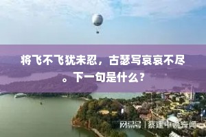 将飞不飞犹未忍，古瑟写哀哀不尽。下一句是什么？