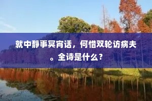就中静事冥宵话，何惜双轮访病夫。全诗是什么？