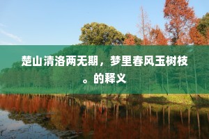 楚山清洛两无期，梦里春风玉树枝。的释义