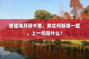 若逢海月明千里，莫忘何郎寄一题。上一句是什么？