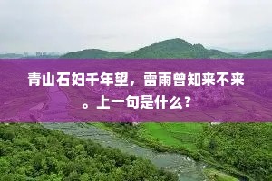 青山石妇千年望，雷雨曾知来不来。上一句是什么？