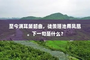 至今满耳箫韶曲，徒羡瑶池舞凤凰。下一句是什么？