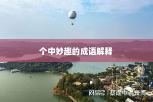 个中妙趣的成语解释