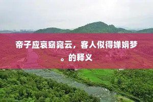 帝子应哀窈窕云，客人似得婵娟梦。的释义
