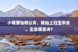 小载萧仙穆公女，随仙上归玉京去。出自哪首诗？