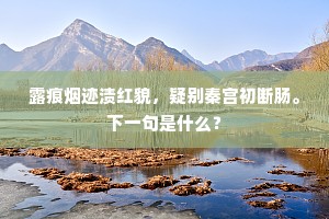 露痕烟迹渍红貌，疑别秦宫初断肠。下一句是什么？