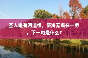 圣人唯有河湟恨，寰海无虞在一劳。下一句是什么？