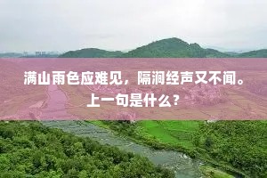 满山雨色应难见，隔涧经声又不闻。上一句是什么？
