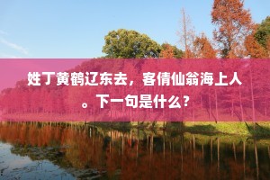 姓丁黄鹤辽东去，客倩仙翁海上人。下一句是什么？