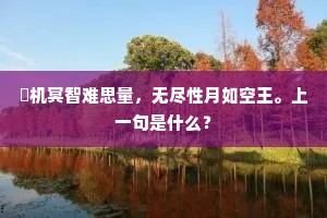 窅机冥智难思量，无尽性月如空王。上一句是什么？