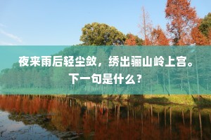夜来雨后轻尘敛，绣出骊山岭上宫。下一句是什么？