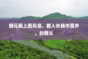 朝元阁上西风急，都入长杨作雨声。的释义