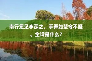 南行忽见李深之，手舞如蜚令不疑。全诗是什么？