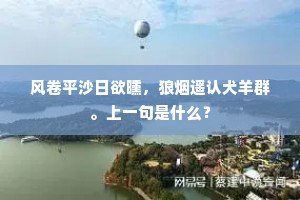 风卷平沙日欲曛，狼烟遥认犬羊群。上一句是什么？