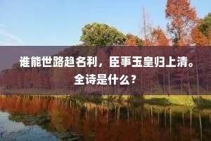 谁能世路趋名利，臣事玉皇归上清。全诗是什么？