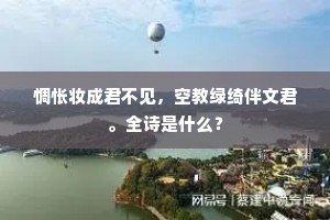惆怅妆成君不见，空教绿绮伴文君。全诗是什么？