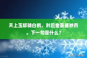 天上玉郎骑白鹤，肘后金壶盛妙药。下一句是什么？