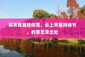羽衣茸茸轻似雪，云上双童持绛节。的意思及出处