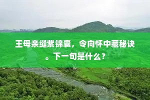 王母亲缝紫锦囊，令向怀中藏秘诀。下一句是什么？