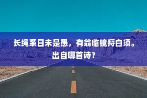 长绳系日未是愚，有翁临镜捋白须。出自哪首诗？