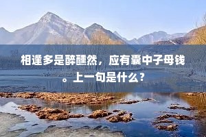 相逢多是醉醺然，应有囊中子母钱。上一句是什么？