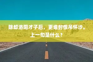 除却洛阳才子后，更谁封恨吊怀沙。上一句是什么？