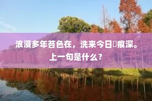 浪浸多年苔色在，洗来今日碏痕深。上一句是什么？