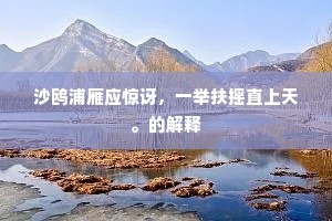 沙鸥浦雁应惊讶，一举扶摇直上天。的解释