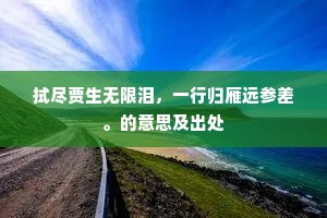 拭尽贾生无限泪，一行归雁远参差。的意思及出处