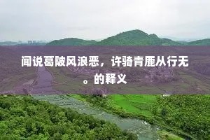 闻说葛陂风浪恶，许骑青鹿从行无。的释义