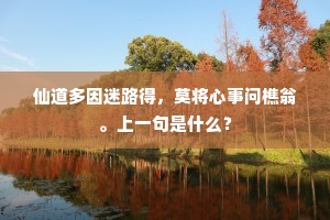 仙道多因迷路得，莫将心事问樵翁。上一句是什么？