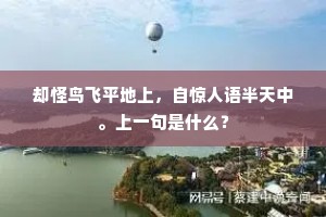 却怪鸟飞平地上，自惊人语半天中。上一句是什么？