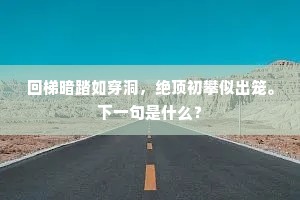 回梯暗踏如穿洞，绝顶初攀似出笼。下一句是什么？